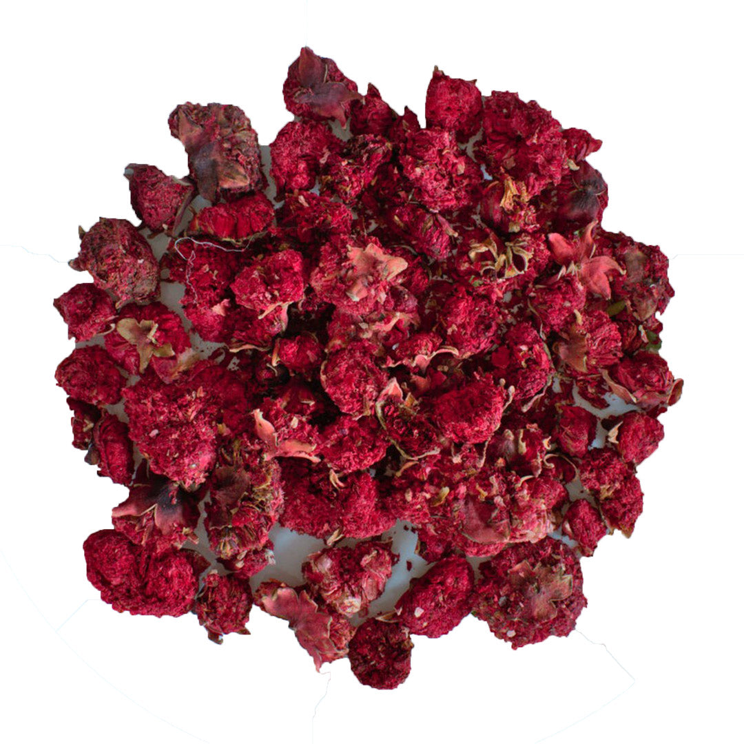 Granatapfelblüten, ganz