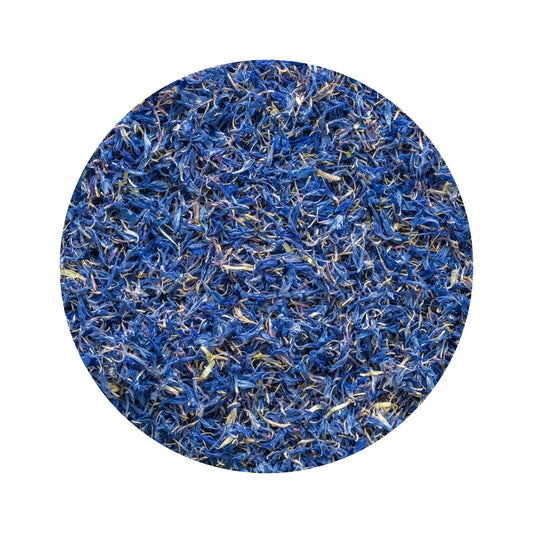 Kornblumen blau, ganz