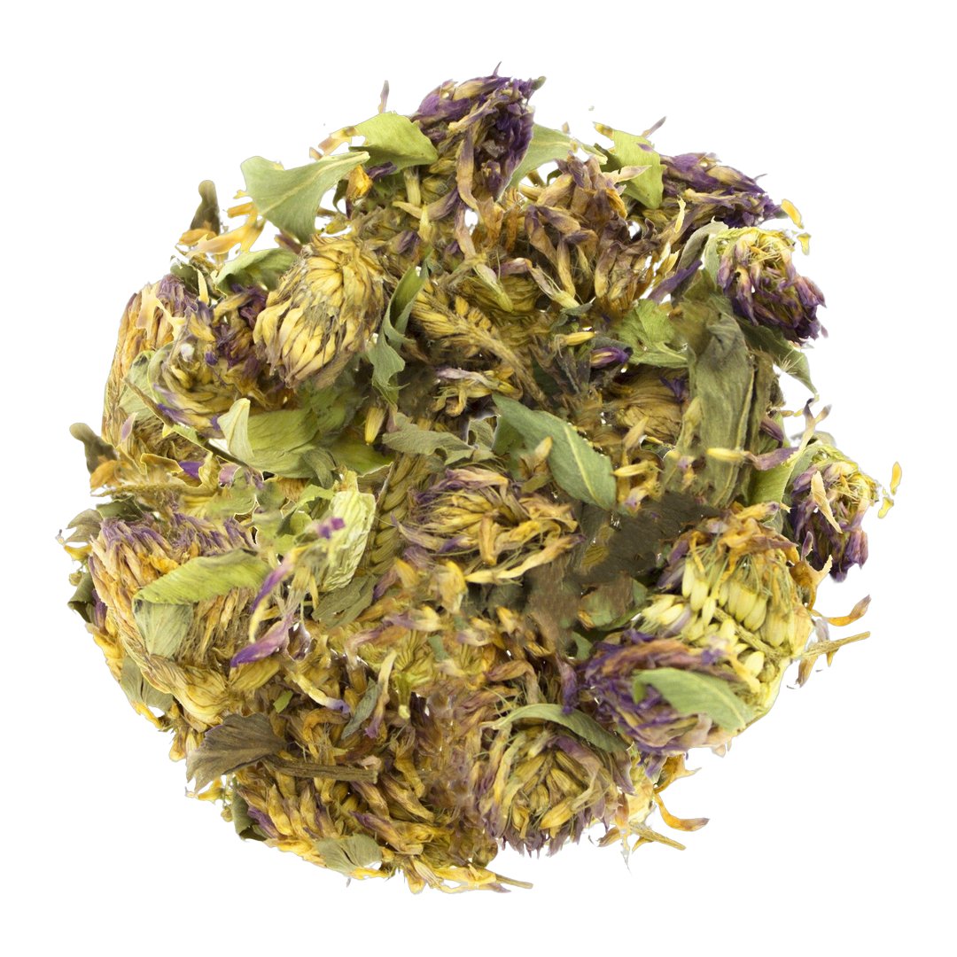 Rotklee-Blüten bio, ganz | Tee vom Viktualienmarkt – Teaflower