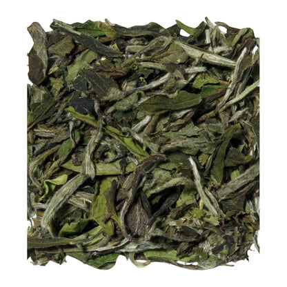 Weißer Tee - Pai Mu Tan Silvery Needle