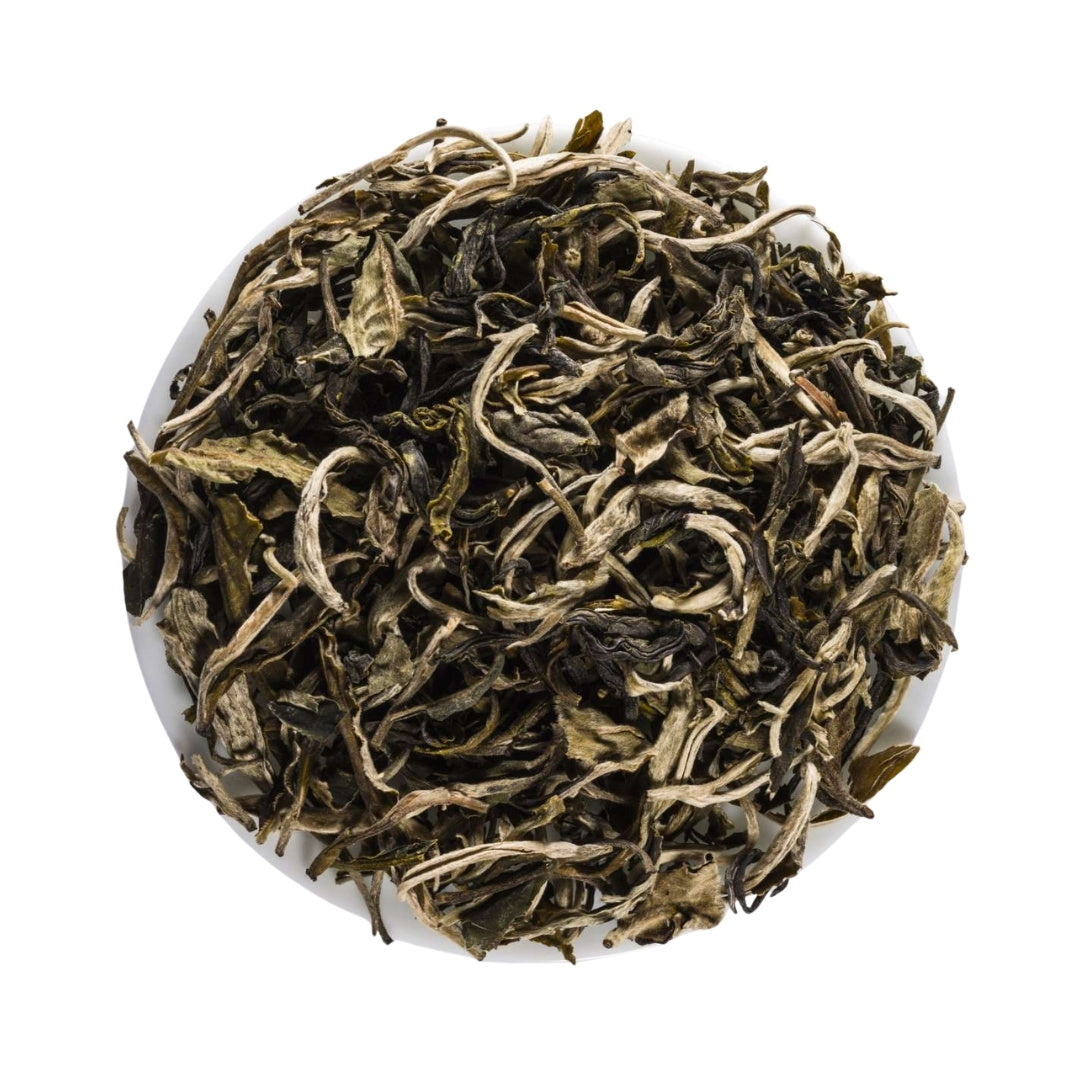 Grüner Tee China Jade Schnee