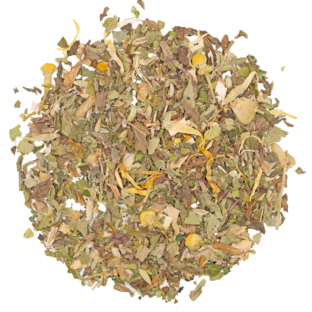 bio kräutertee fastentee mit pfefferminze, fenchel, brennnessel und kamillenblüten in heller tasse